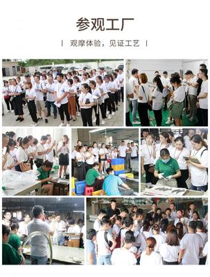 蛻變季 米蘇燈飾M6+超級盈利系統第六期特訓營順利閉營，文化經紀人服務賦能行業新生態